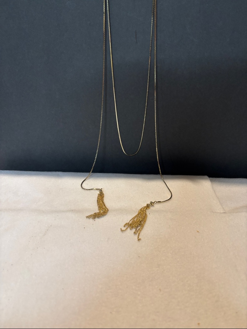 Long tassel necklace by Express